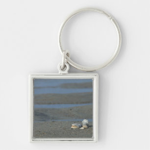 Seashell Pile Keychain