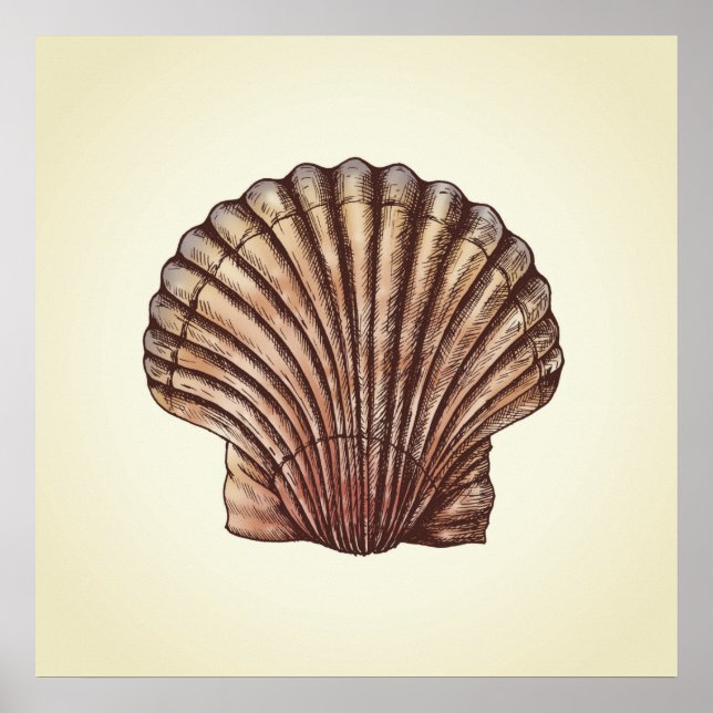 Seashell Poster (Front)