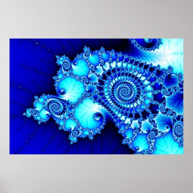 Seashell Poster (Front)