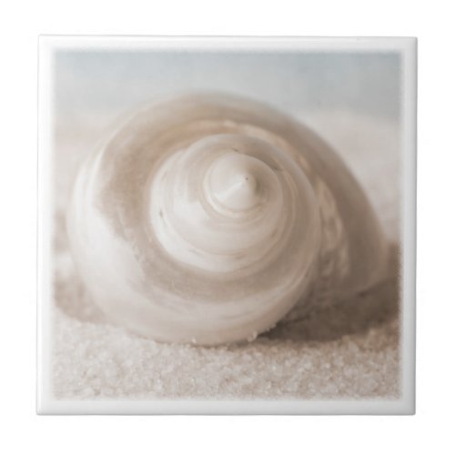 Seashell Sand Beach _ Tropical Shells Template Ceramic Tile