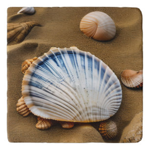 Seashell Sea Life Beach Scene Ocean Trivet