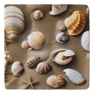 Seashell Sea Life Beach Scene Ocean Trivet