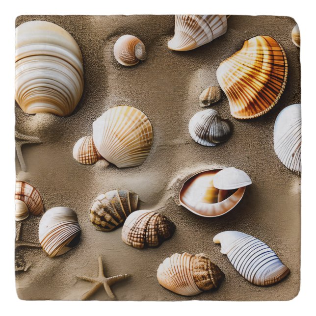 Seashell Sea Life Beach Scene Ocean Trivet (Front)