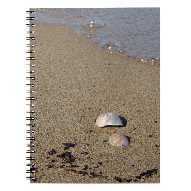 Seashell Seashore Notebook (Front)