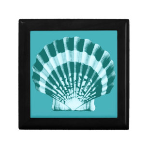 Seashell - Shades of teal blue Gift Box