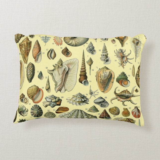 Seashell Shell Mollusk Clam Elegant Classic Art Accent Pillow (Back)