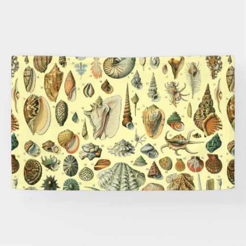 Seashell Shell Mollusk Clam Elegant Classic Art Banner