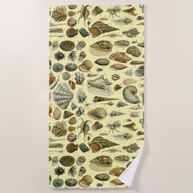 Seashell Shell Mollusk Clam Elegant Classic Art Beach Towel (Front)