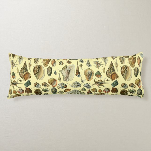Seashell Shell Mollusk Clam Elegant Classic Art Body Pillow (Front)