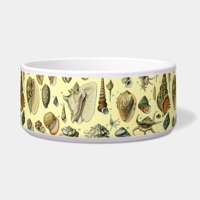 Seashell Shell Mollusk Clam Elegant Classic Art Bowl (Front)