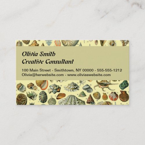 Seashell Shell Mollusk Clam Elegant Classic Art Business Card