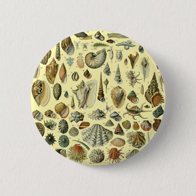 Seashell Shell Mollusk Clam Elegant Classic Art Button (Front)