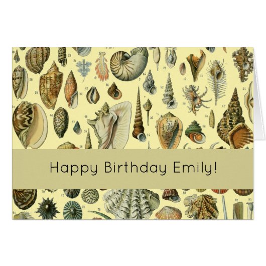 Seashell Shell Mollusk Clam Elegant Classic Art Cards (Front Horizontal)