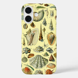 Seashell Shell Mollusk Clam Elegant Classic Art iPhone 16 Case