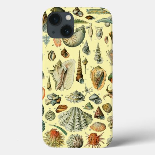 Seashell Shell Mollusk Clam Elegant Classic Art iPhone 13 Case