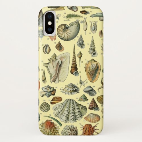 Seashell Shell Mollusk Clam Elegant Classic Art iPhone X Case