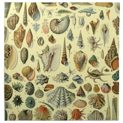 Seashell Shell Mollusk Clam Elegant Classic Art Cloth Napkin
