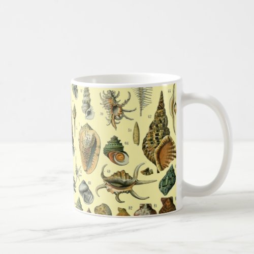 Seashell Shell Mollusk Clam Elegant Classic Art Coffee Mug