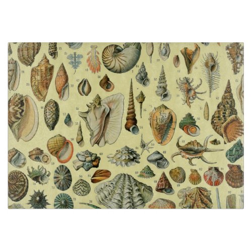 Seashell Shell Mollusk Clam Elegant Classic Art Cutting Board