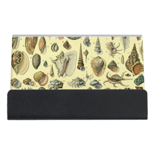 Seashell Shell Mollusk Clam Elegant Classic Art Desk Business Card Holder