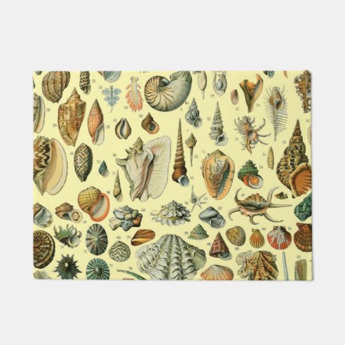 Seashell Shell Mollusk Clam Elegant Classic Art Doormat
