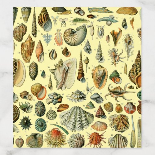 Seashell Shell Mollusk Clam Elegant Classic Art Envelope Liner