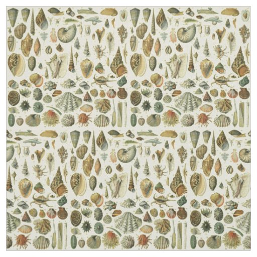Seashell Shell Mollusk Clam Elegant Classic Art Fabric