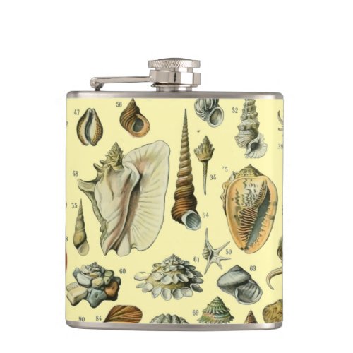 Seashell Shell Mollusk Clam Elegant Classic Art Flask