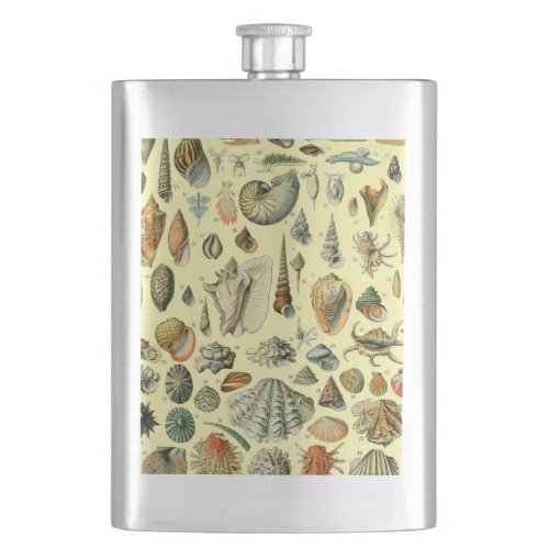 Seashell Shell Mollusk Clam Elegant Classic Art Flask