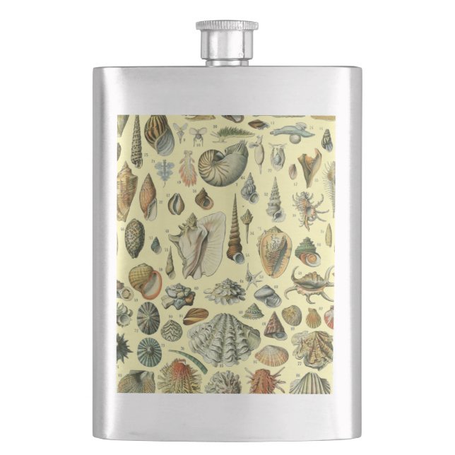 Seashell Shell Mollusk Clam Elegant Classic Art Flask (Front)