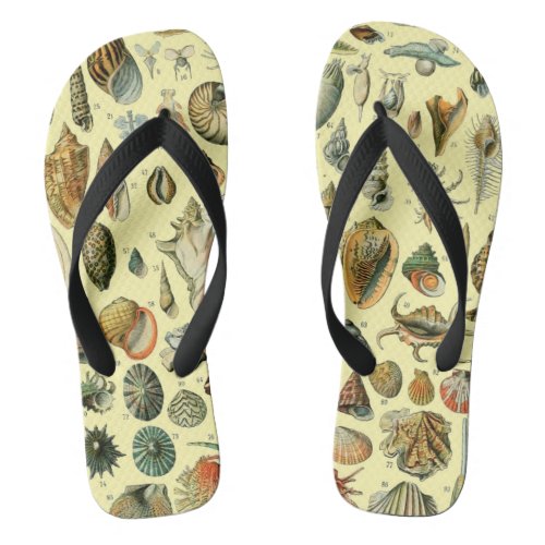 Seashell Shell Mollusk Clam Elegant Classic Art Flip Flops