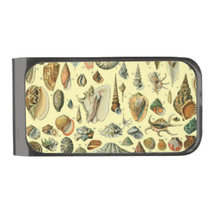 Seashell Shell Mollusk Clam Elegant Classic Art Gunmetal Finish Money Clip