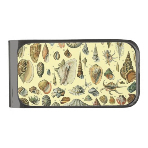 Seashell Shell Mollusk Clam Elegant Classic Art Gunmetal Finish Money Clip