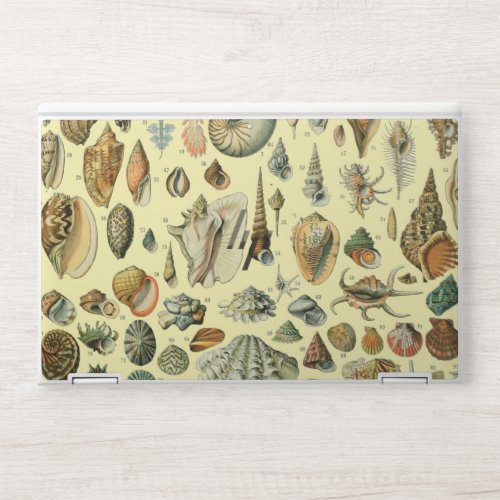 Seashell Shell Mollusk Clam Elegant Classic Art HP Laptop Skin