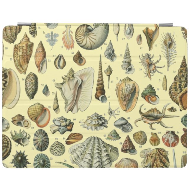 Seashell Shell Mollusk Clam Elegant Classic Art iPad Smart Cover (Horizontal)