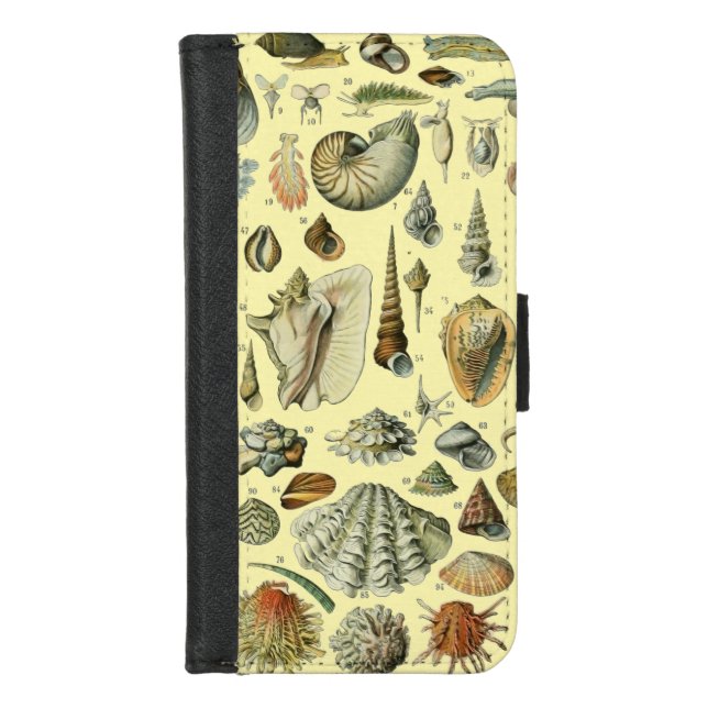 Seashell Shell Mollusk Clam Elegant Classic Art iPhone Wallet Case (Front)