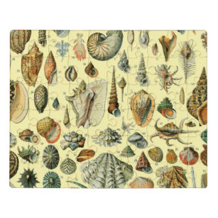Seashell Shell Mollusk Clam Elegant Classic Art Jigsaw Puzzle