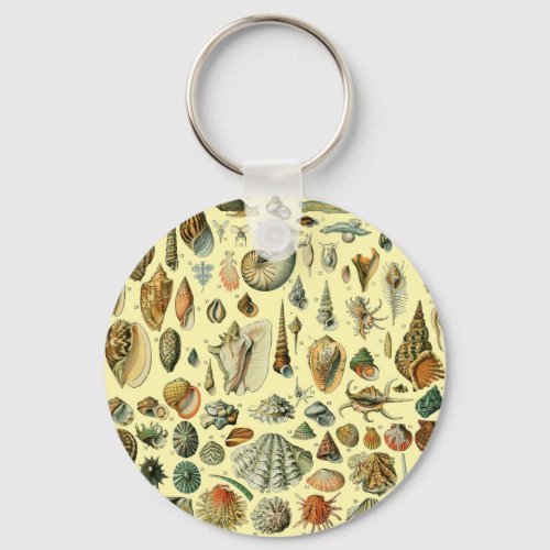 Seashell Shell Mollusk Clam Elegant Classic Art Keychain