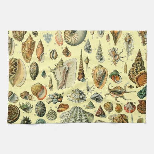 Seashell Shell Mollusk Clam Elegant Classic Art Kitchen Towel