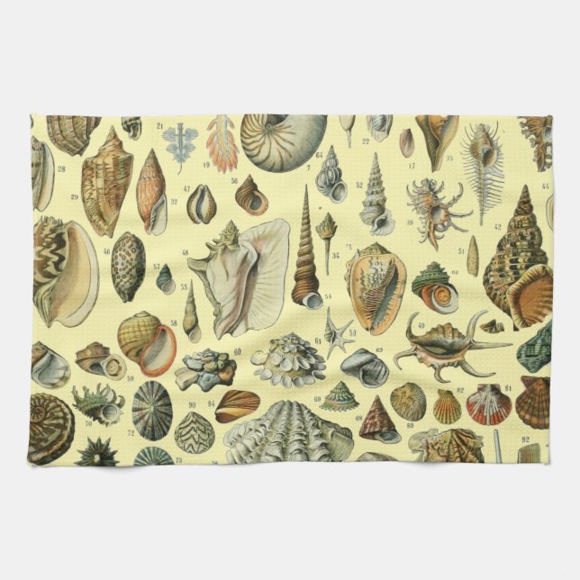 Seashell Shell Mollusk Clam Elegant Classic Art Kitchen Towel (Horizontal)