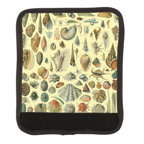 Seashell Shell Mollusk Clam Elegant Classic Art Luggage Handle Wrap