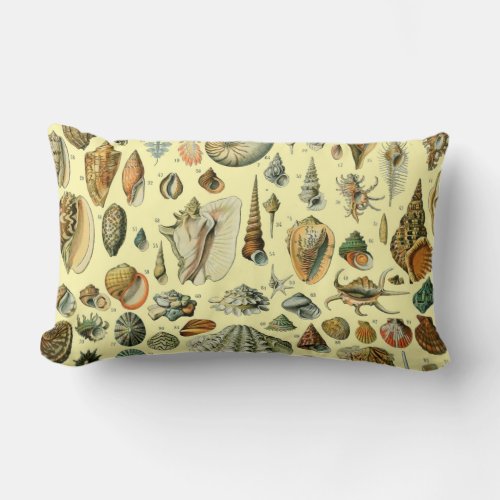 Seashell Shell Mollusk Clam Elegant Classic Art Lumbar Pillow