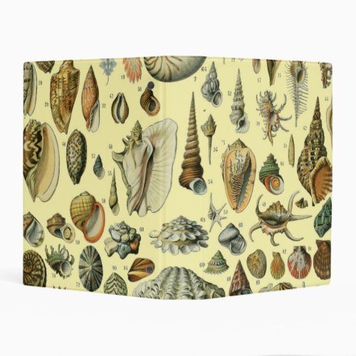 Seashell Shell Mollusk Clam Elegant Classic Art Mini Binder