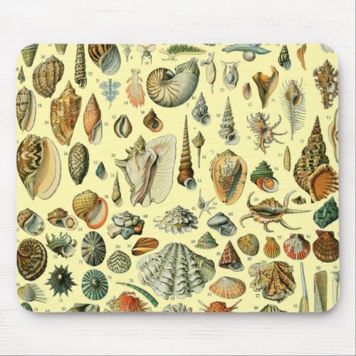 Seashell Shell Mollusk Clam Elegant Classic Art Mouse Pad