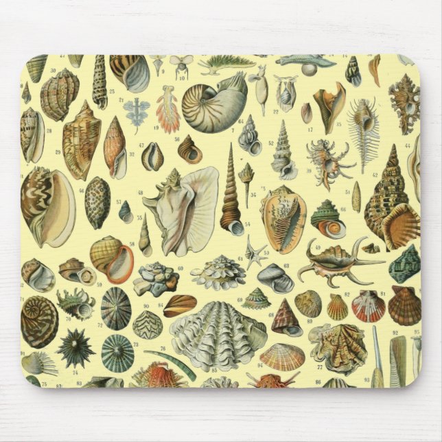 Seashell Shell Mollusk Clam Elegant Classic Art Mouse Pad (Front)