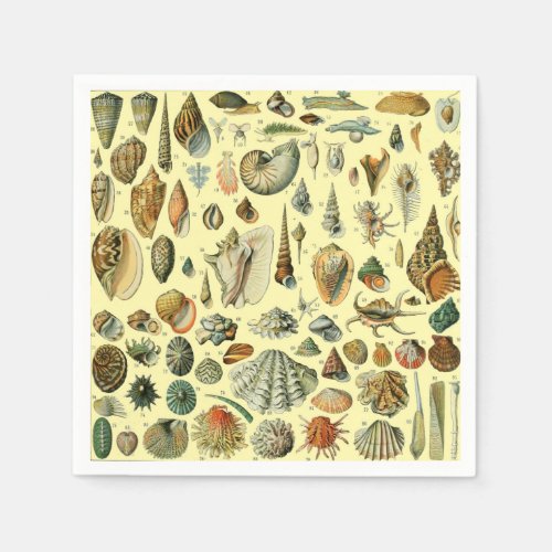 Seashell Shell Mollusk Clam Elegant Classic Art Napkins