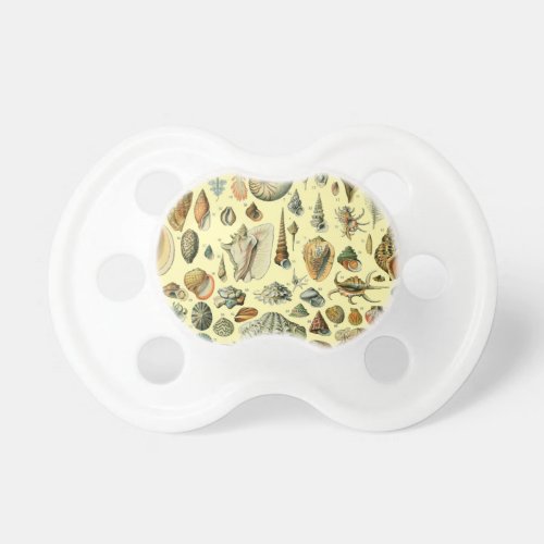 Seashell Shell Mollusk Clam Elegant Classic Art Pacifier