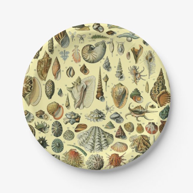 Seashell Shell Mollusk Clam Elegant Classic Art Paper Plates (Front)