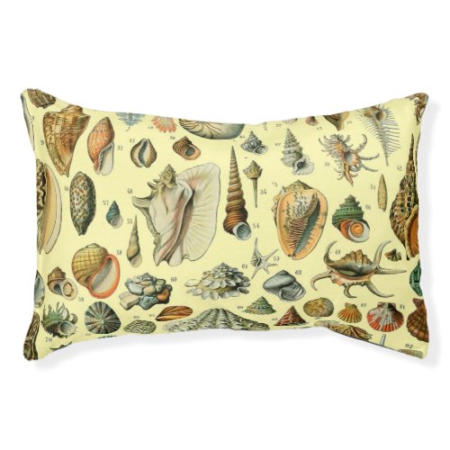 Seashell Shell Mollusk Clam Elegant Classic Art Pet Bed