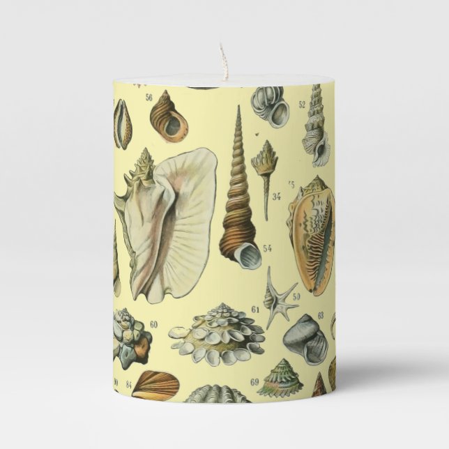 Seashell Shell Mollusk Clam Elegant Classic Art Pillar Candle (Front)